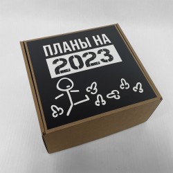 Подарочный бокс «Планы на 2023 год» Standart