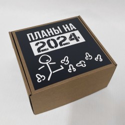Подарочный бокс «Планы на 2024 год» Mini