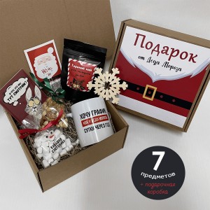 Подарочный бокс «Подарок от Деда Мороза» Premium