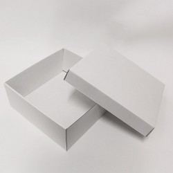Белая коробка с крышкой 25х25х10