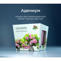 Набор для выращивания растений Премиум «Адениум»