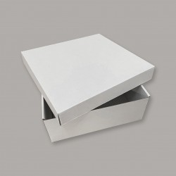 Белая коробка с крышкой 25х25х10