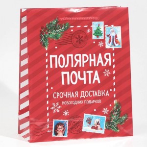 Пакет подарочный «Полярная почта» 21 × 25 × 8 см