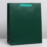 Подарочный пакет однотонный «Зеленый» ML 23 × 27 × 11.5 см