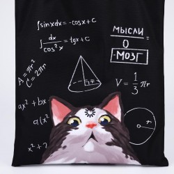 Сумка шопер «Кот с формулами»