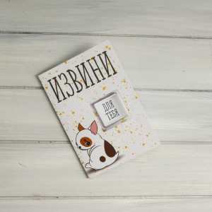 Шоколад в открытке «ИЗВИНИ» 5 г