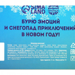 Подарочный молочный шоколад «Билет в новый год», 70 г.