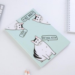 Ежедневник в тонкой обложке «Погладь кота» А5, 80 листов